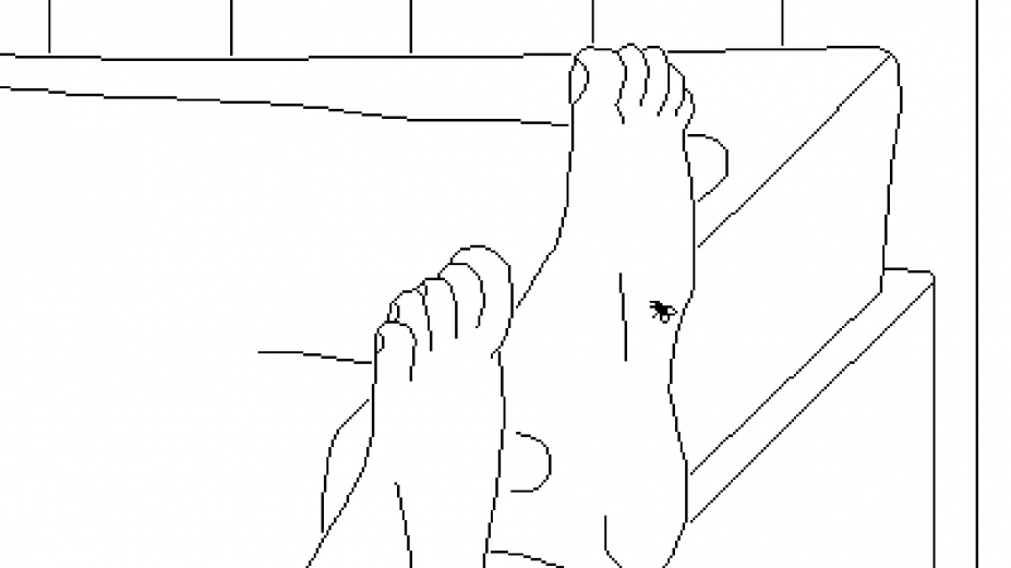 《Time Flies》游戏截图