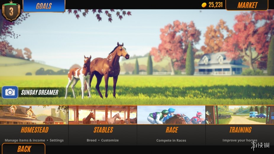 《家族传奇：马匹养成竞技》游戏截图