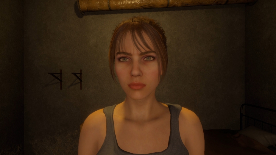 《塞琳的难熬之夜》游戏截图