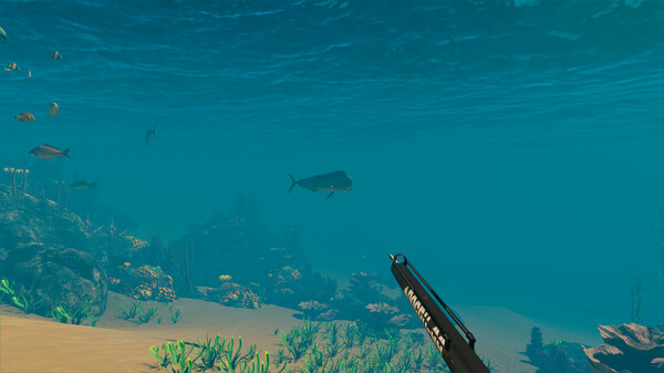 《天堂海滩模拟器》游戏截图