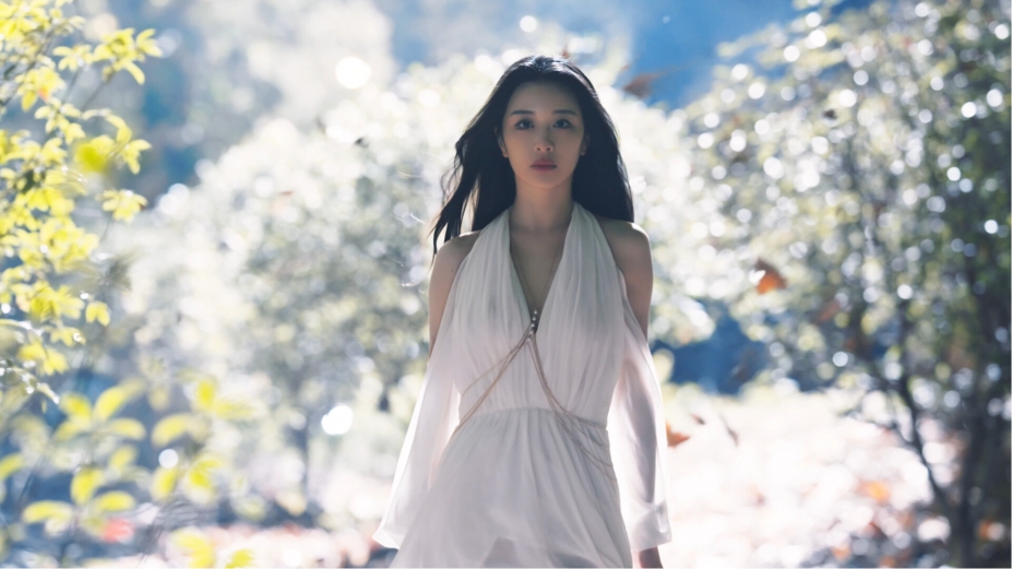 《天地有私 宿命之主》游戏截图