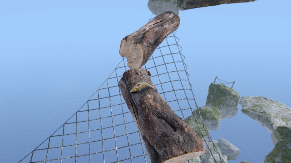 《咸鱼翻身》游戏截图