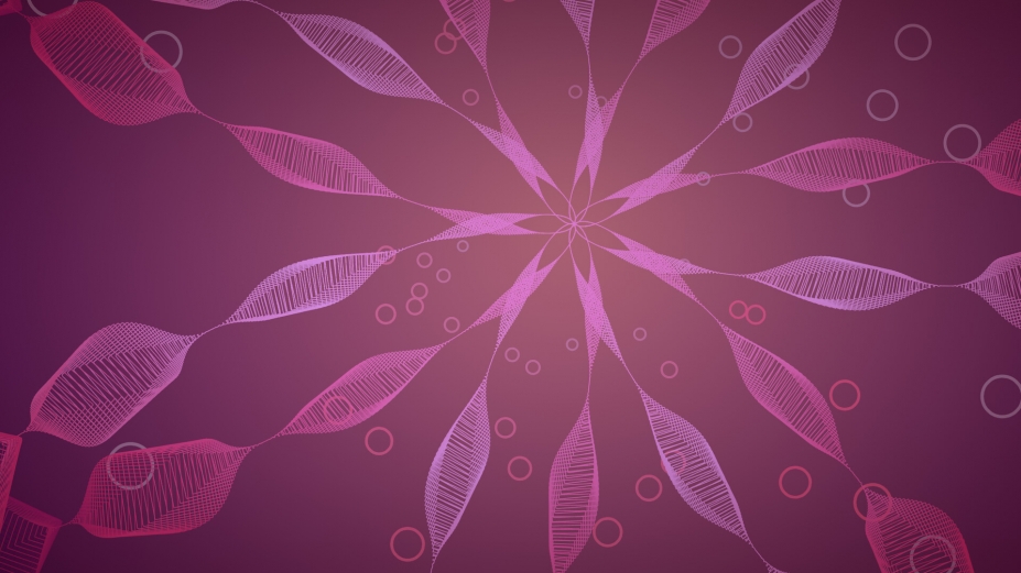 《Zen Trails》游戏截图