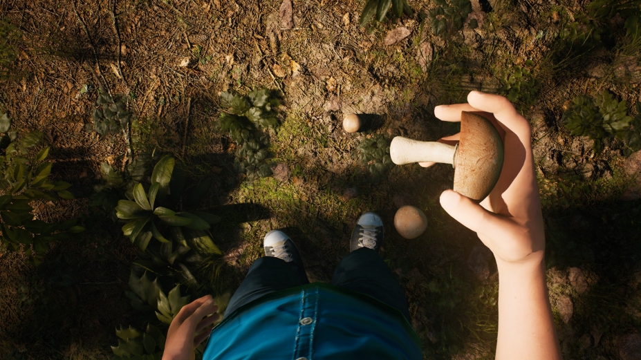 《羊肚菌：狩猎游戏》游戏截图