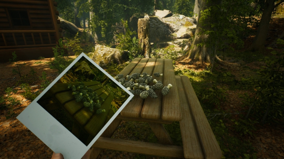 《羊肚菌：狩猎游戏》游戏截图