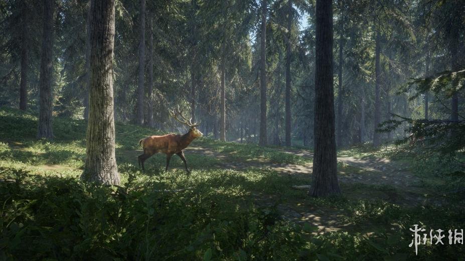 《猎人：野性的呼唤》游戏截图