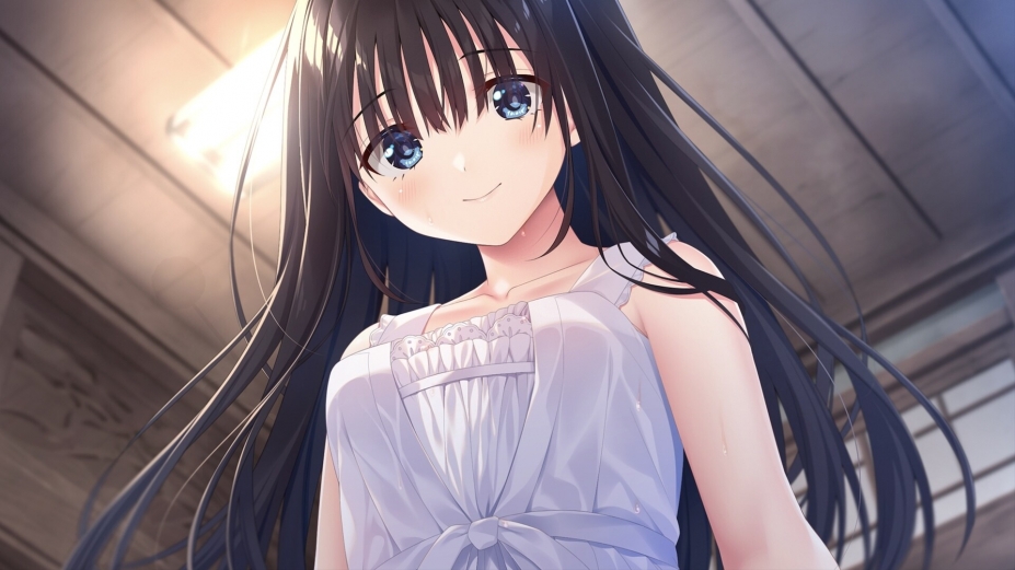 《痴情哥哥与病弱妹妹的乡间生活》游戏截图