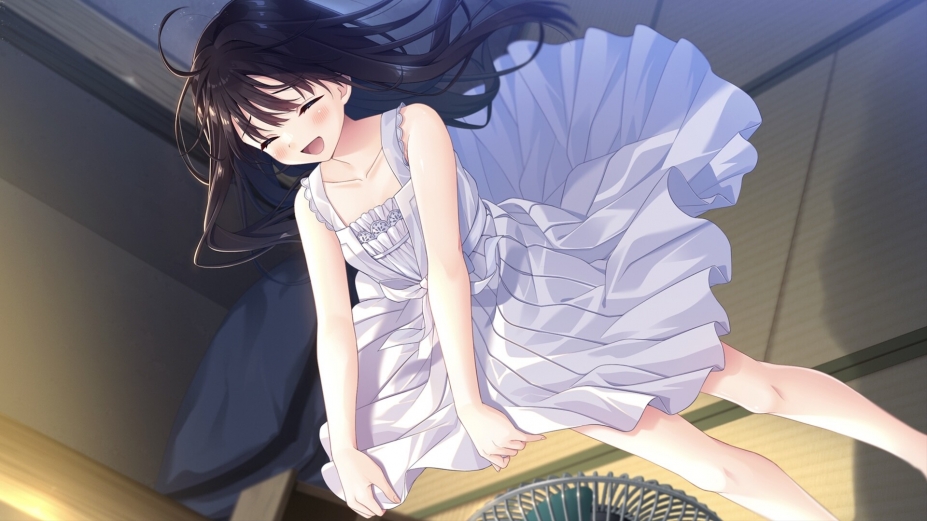 《痴情哥哥与病弱妹妹的乡间生活》游戏截图