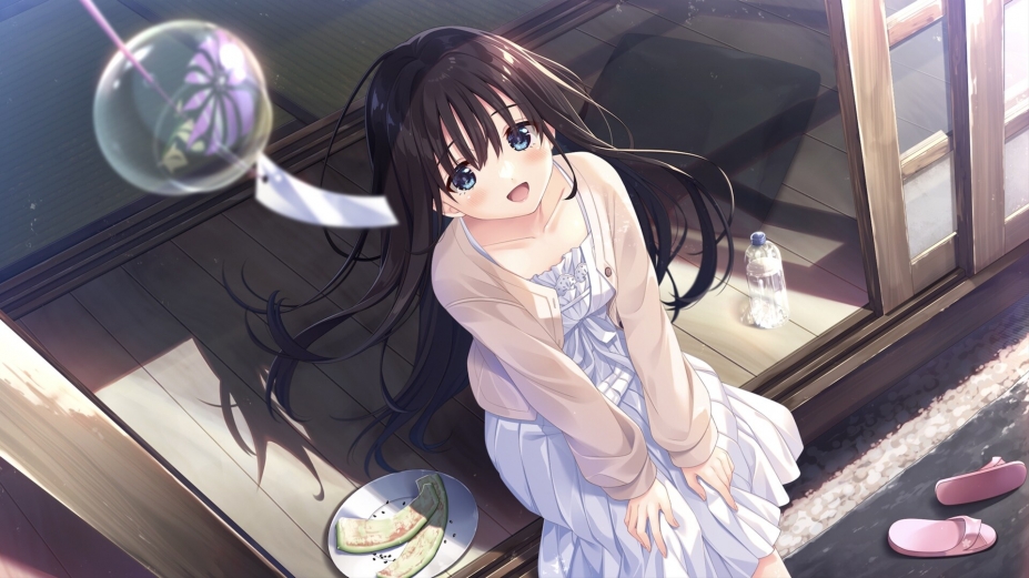 《痴情哥哥与病弱妹妹的乡间生活》游戏截图