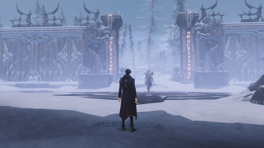 《我独自升级：起立·觉醒》游戏截图