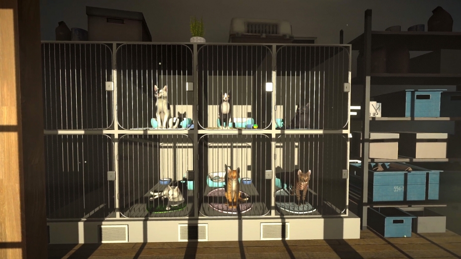 《冒牌猫谜》游戏截图