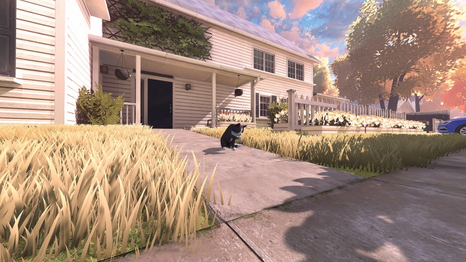 《冒牌猫谜》游戏截图