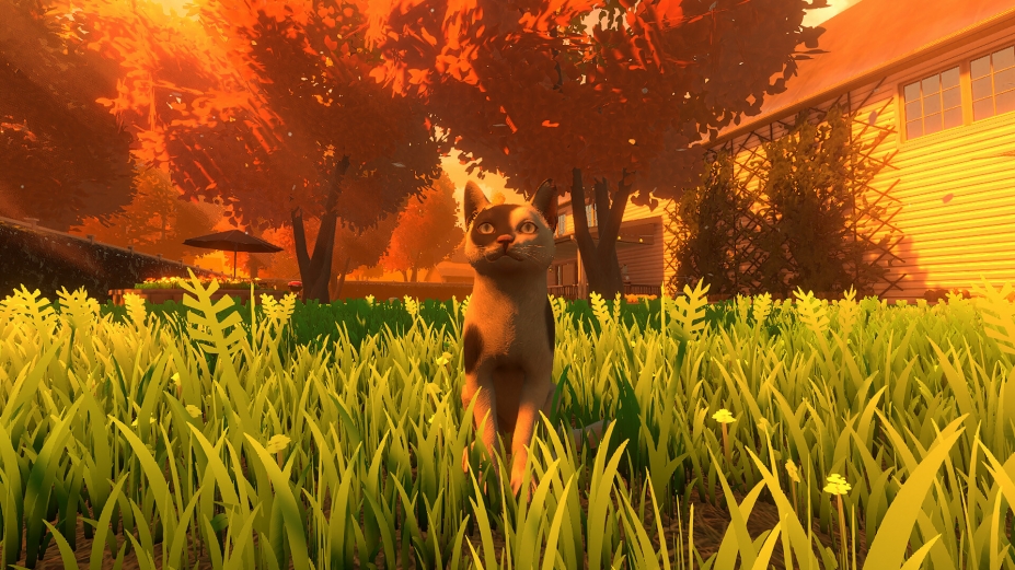 《冒牌猫谜》游戏截图