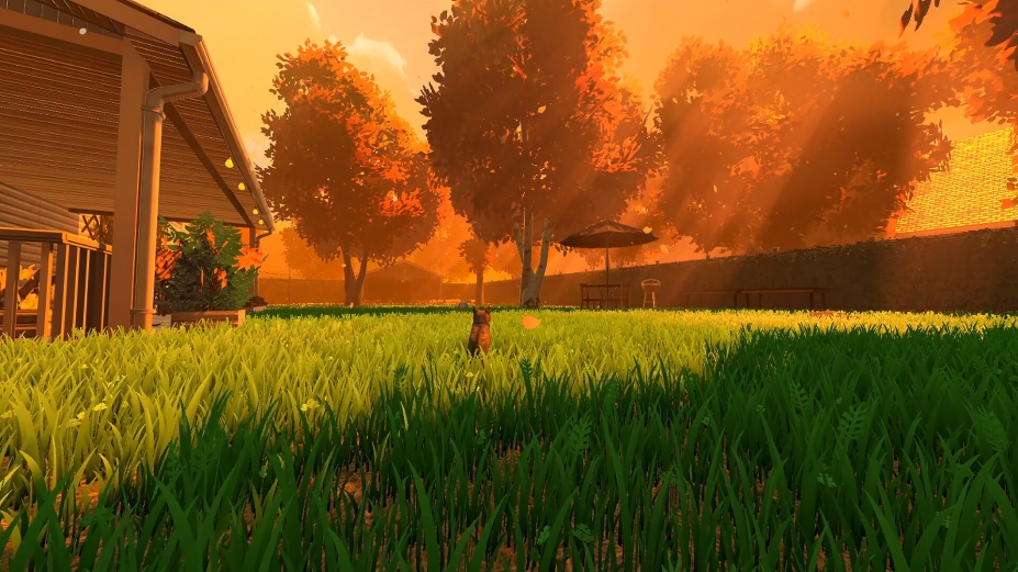 《冒牌猫谜》游戏截图