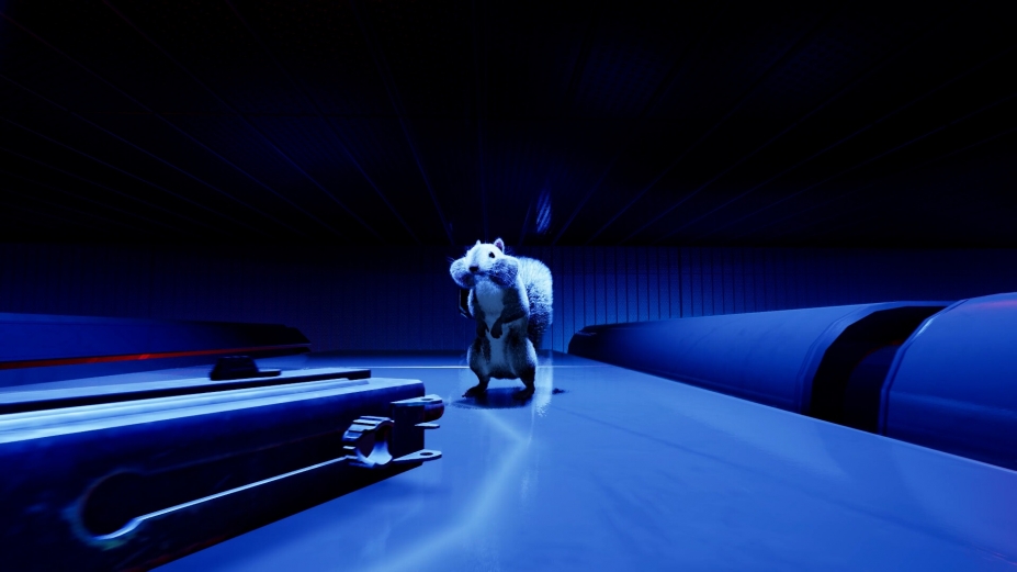 《持枪松鼠》游戏截图2