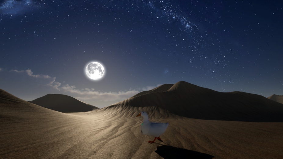 《鸭子：好奇心》游戏截图