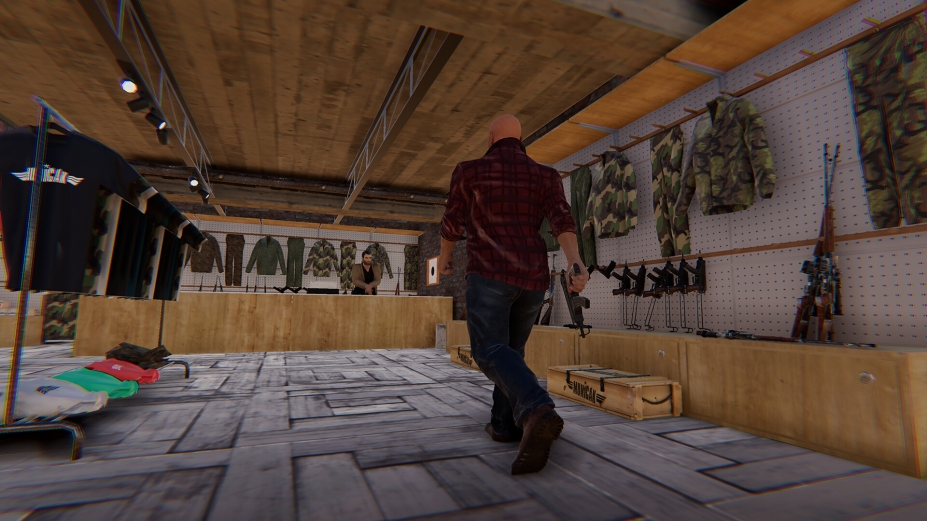 《Vivat Slovakia》游戏截图