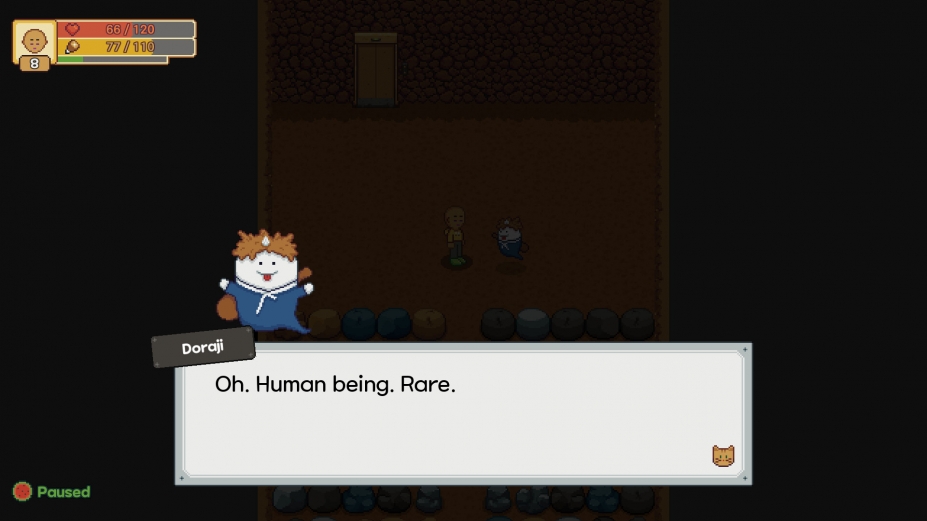 《妮娜诺 : 梦之牧场》游戏截图