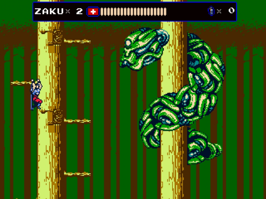 《赤影战士：不可阻挡版》游戏截图