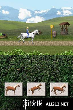 《我的宠物旅馆》NDS截图