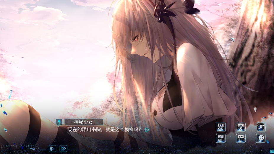 《孟德大小姐与自爆少年》游戏截图