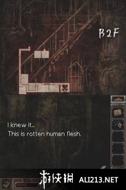 《泰勒吉亚》NDS截图