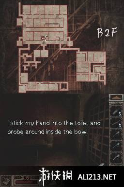 《泰勒吉亚》NDS截图