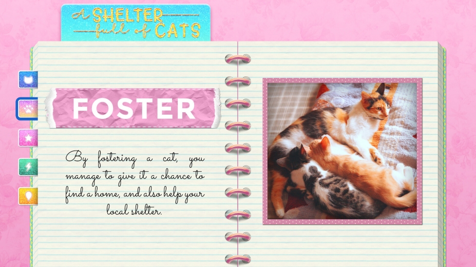 《收容所里满是猫》游戏截图