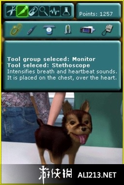 《真实故事 兽医》NDS截图