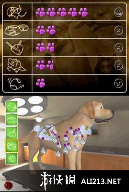 《真实故事 兽医》NDS截图