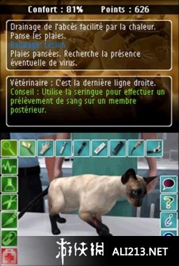 《真实故事 兽医》NDS截图