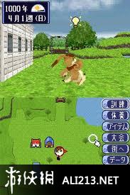 《画画说话开始吧! 怪物农场DS》NDS截图