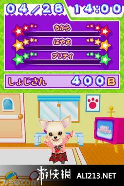 《偶像小狗 综艺频道》NDS截图