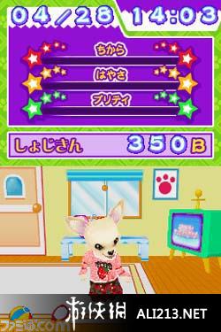 《偶像小狗 综艺频道》NDS截图