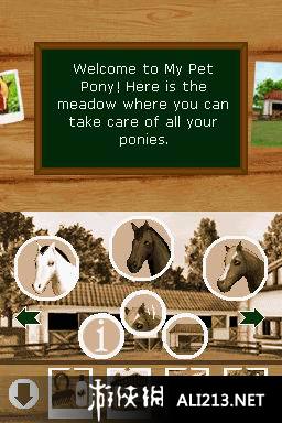 《探索频道 小马天堂》NDS截图