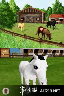 《探索频道 小马天堂》NDS截图