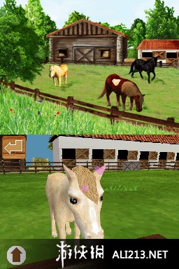 《探索频道 小马天堂》NDS截图