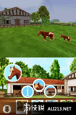 《探索频道 小马天堂》NDS截图