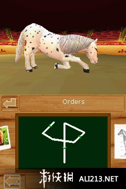 《探索频道 小马天堂》NDS截图