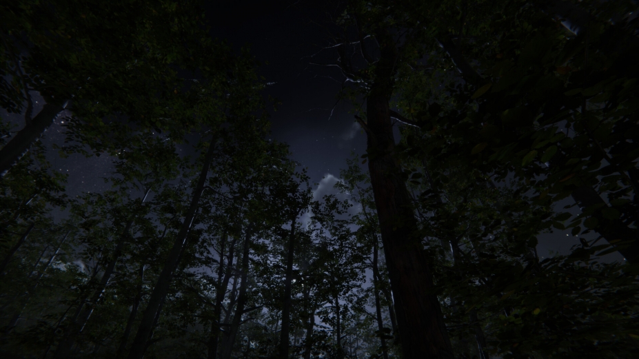 《露营Vlog模拟器2024》游戏截图