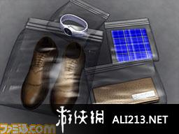 《审问刑警 ～刑警先生 是我干的～》NDS截图