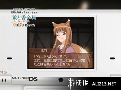 《狼与辛香料 跨越大海的风》NDS截图