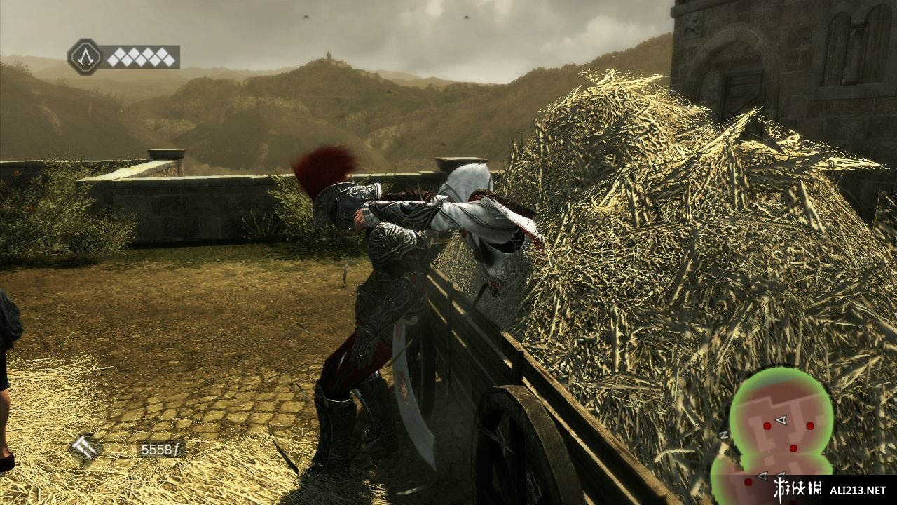 《刺客信条 兄弟会》PS3截图