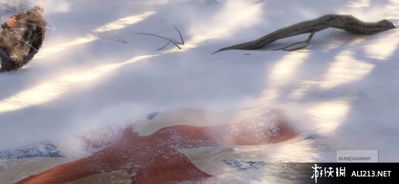 《刺客信条3》PS3截图