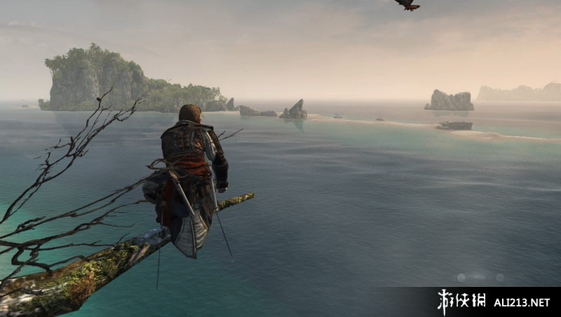 《刺客信条4 黑旗》PS4截图