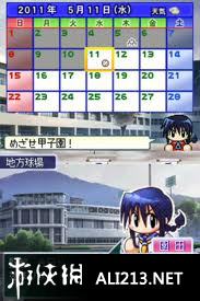 《实况口袋棒球甲子园》NDS截图