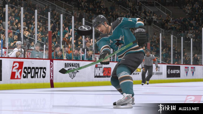 《北美冰球联赛2K9》PS3截图