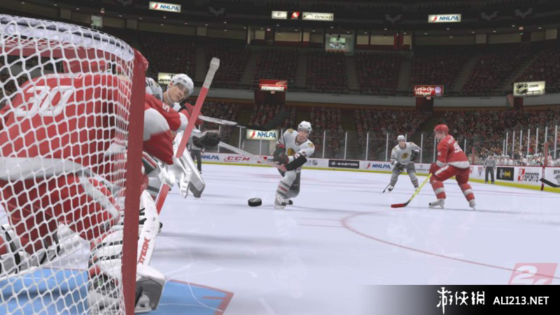 《北美冰球联赛2K9》PS3截图