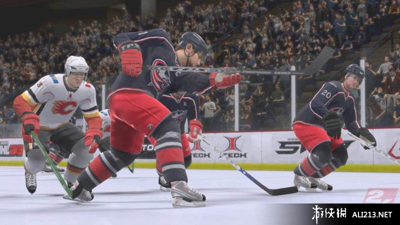 《北美冰球联赛2K9》PS3截图