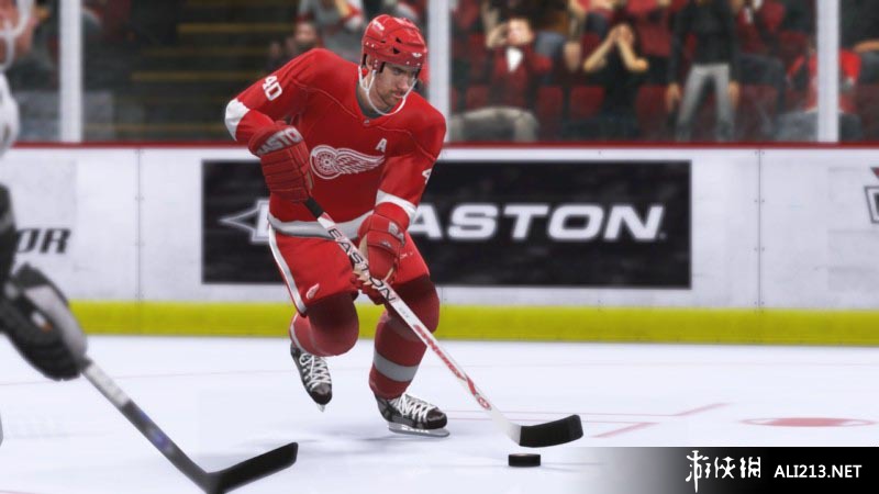《北美冰球联赛2K9》PS3截图
